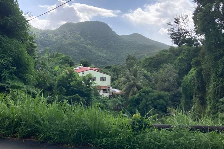 Services de restauration rapide et traiteur | Martinique